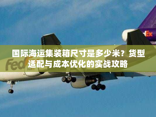 国际海运集装箱尺寸是多少米？货型适配与成本优化的实战攻略