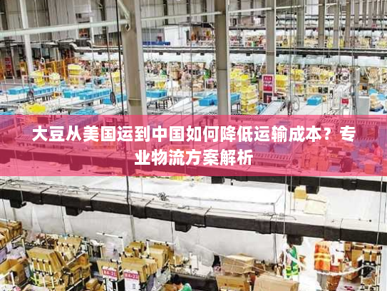 大豆从美国运到中国如何降低运输成本?专业物流方案解析 大豆从美国运到中国如何降低运输成本?专业物流方案解析