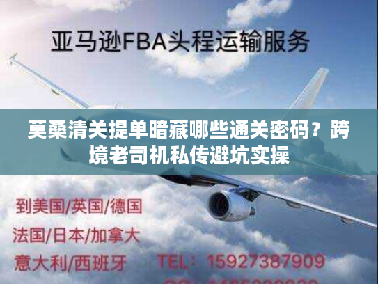 莫桑清关提单暗藏哪些通关密码？跨境老司机私传避坑实操
