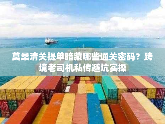 莫桑清关提单暗藏哪些通关密码？跨境老司机私传避坑实操
