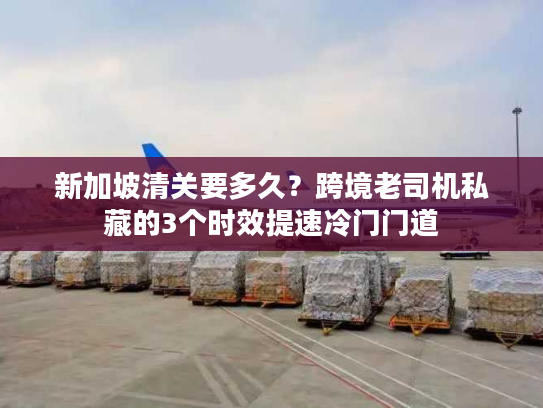 新加坡清关要多久？跨境老司机私藏的3个时效提速冷门门道