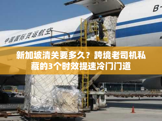 新加坡清关要多久？跨境老司机私藏的3个时效提速冷门门道