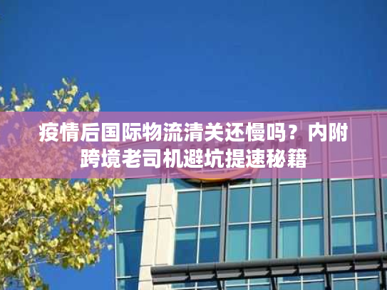 疫情后国际物流清关还慢吗？内附跨境老司机避坑提速秘籍
