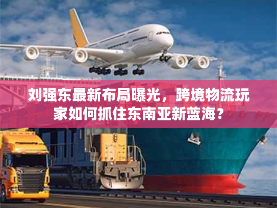 刘强东最新布局曝光，跨境物流玩家如何抓住东南亚新蓝海？