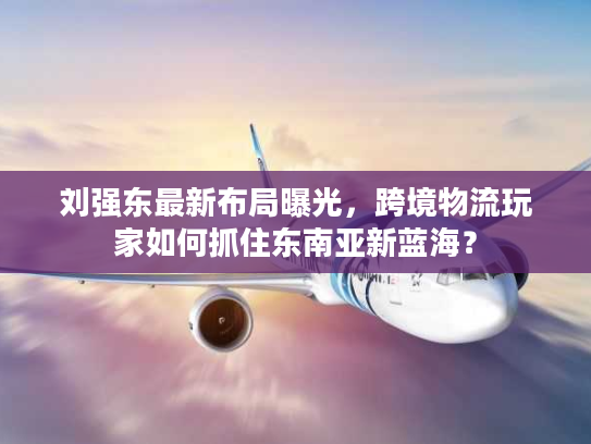 刘强东最新布局曝光，跨境物流玩家如何抓住东南亚新蓝海？