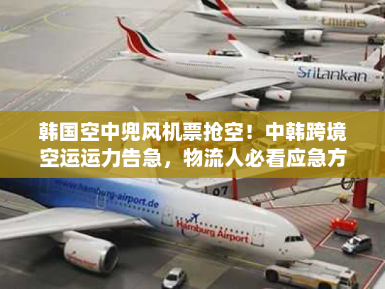 韩国空中兜风机票抢空!中韩跨境空运运力告急,物流人必看应急方案 韩国空中兜风机票抢空!中韩跨境空运运力告急,物流人必看应急方案