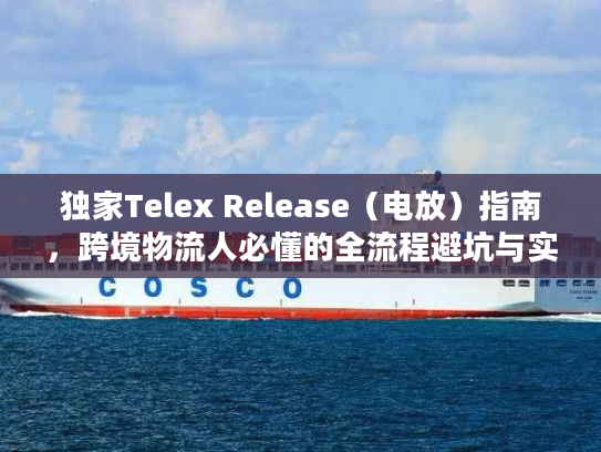 独家Telex Release(电放)指南,跨境物流人必懂的全流程避坑与实战案例 独家Telex Release(电放)指南,跨境物流人必懂的全流程避坑与实战案例