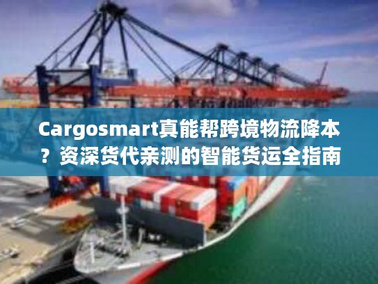 Cargosmart真能帮跨境物流降本？资深货代亲测的智能货运全指南