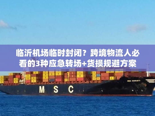 临沂机场临时封闭？跨境物流人必看的3种应急转场+货损规避方案