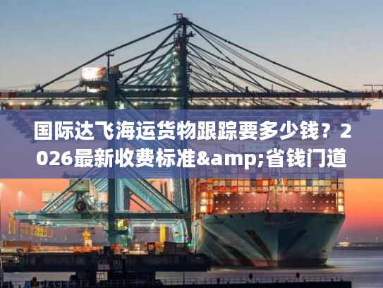 国际达飞海运货物跟踪要多少钱？2026最新收费标准&省钱门道
