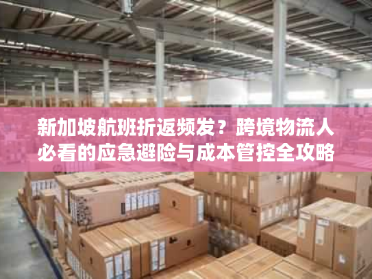 新加坡航班折返频发？跨境物流人必看的应急避险与成本管控全攻略