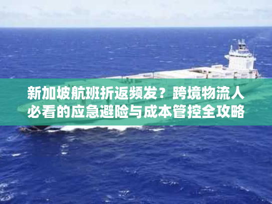 新加坡航班折返频发？跨境物流人必看的应急避险与成本管控全攻略