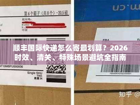 顺丰国际快递怎么寄最划算？2026时效、清关、特殊场景避坑全指南