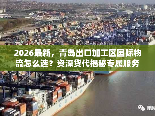 2026最新，青岛出口加工区国际物流怎么选？资深货代揭秘专属服务与避坑门道