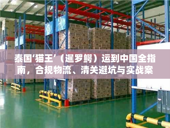 泰国‘猫王’（暹罗鳄）运到中国全指南，合规物流、清关避坑与实战案例