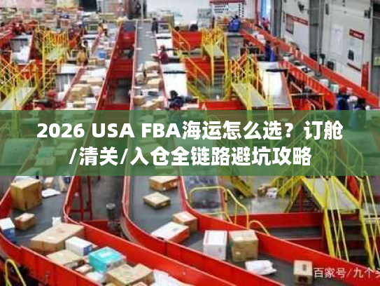 2026 USA FBA海运怎么选？订舱/清关/入仓全链路避坑攻略