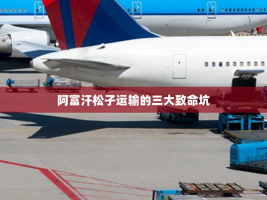 阿富汗松子运输的三大致命坑 阿富汗松子运输的三大致命坑