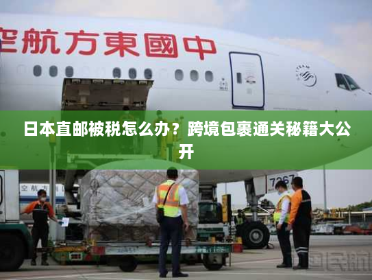 日本直邮被税怎么办?跨境包裹通关秘籍大公开 日本直邮被税怎么办?跨境包裹通关秘籍大公开
