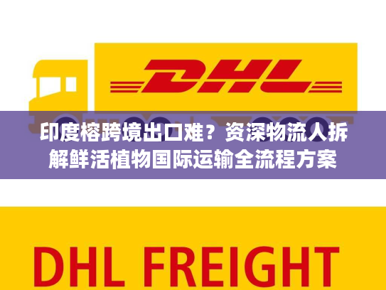 印度榕跨境出口难？资深物流人拆解鲜活植物国际运输全流程方案