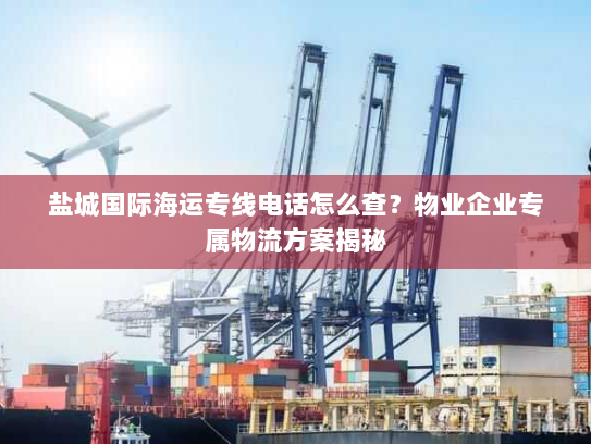 盐城国际海运专线电话怎么查？物业企业专属物流方案揭秘