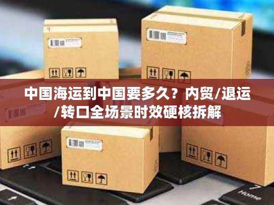 中国海运到中国要多久？内贸/退运/转口全场景时效硬核拆解