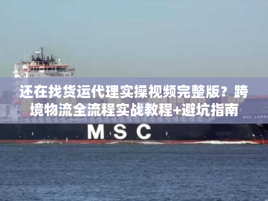 还在找货运代理实操视频完整版?跨境物流全流程实战教程+避坑指南 还在找货运代理实操视频完整版?跨境物流全流程实战教程+避坑指南