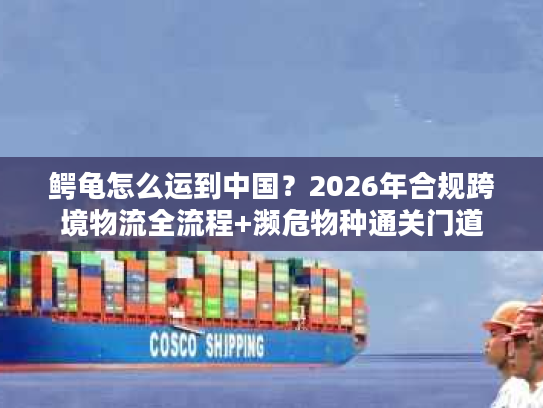 鳄龟怎么运到中国?2026年合规跨境物流全流程+濒危物种通关门道 鳄龟怎么运到中国?2026年合规跨境物流全流程+濒危物种通关门道