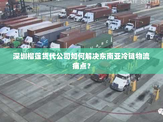 深圳榴莲货代公司如何解决东南亚冷链物流痛点？