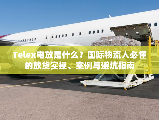 Telex电放是什么?国际物流人必懂的放货实操、案例与避坑指南 Telex电放是什么?国际物流人必懂的放货实操、案例与避坑指南