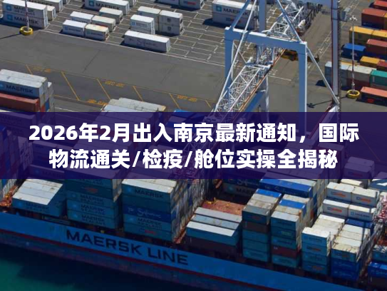 2026年2月出入南京最新通知，国际物流通关/检疫/舱位实操全揭秘