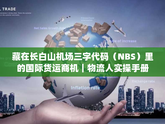 藏在长白山机场三字代码（NBS）里的国际货运商机｜物流人实操手册