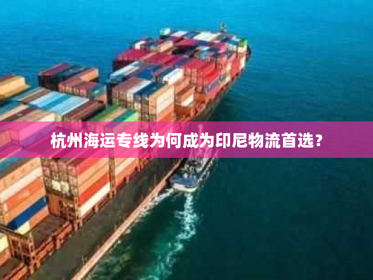 杭州海运专线为何成为印尼物流首选? 杭州海运专线为何成为印尼物流首选?