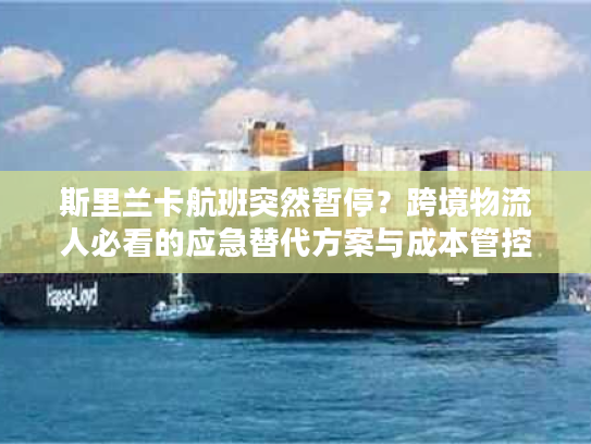 斯里兰卡航班突然暂停？跨境物流人必看的应急替代方案与成本管控全攻略