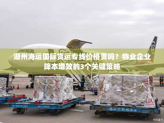 湖州海运国际货运专线价格贵吗?物业企业降本增效的3个关键策略 湖州海运国际货运专线价格贵吗?物业企业降本增效的3个关键策略