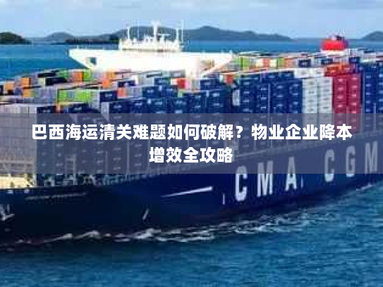 巴西海运清关难题如何破解？物业企业降本增效全攻略