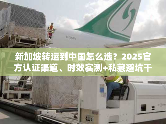 新加坡转运到中国怎么选？2025官方认证渠道、时效实测+私藏避坑干货