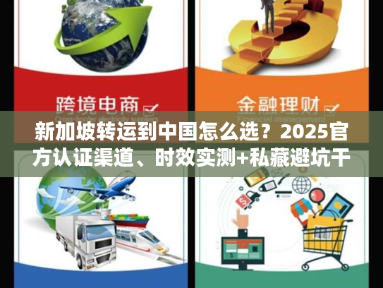 新加坡转运到中国怎么选？2025官方认证渠道、时效实测+私藏避坑干货