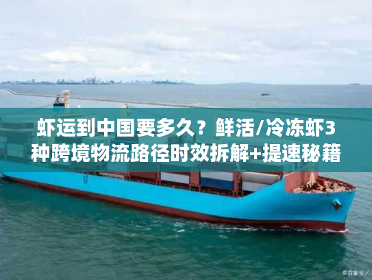 虾运到中国要多久？鲜活/冷冻虾3种跨境物流路径时效拆解+提速秘籍