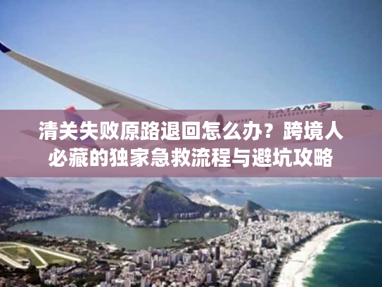 清关失败原路退回怎么办？跨境人必藏的独家急救流程与避坑攻略