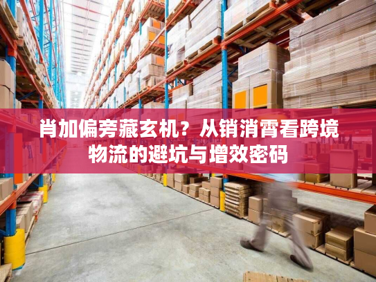 肖加偏旁藏玄机？从销消霄看跨境物流的避坑与增效密码