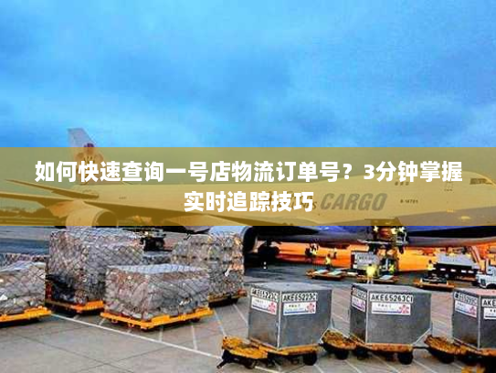 如何快速查询一号店物流订单号?3分钟掌握实时追踪技巧 如何快速查询一号店物流订单号?3分钟掌握实时追踪技巧