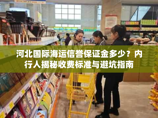 河北国际海运信誉保证金多少？内行人揭秘收费标准与避坑指南