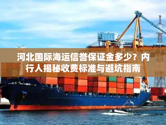 河北国际海运信誉保证金多少？内行人揭秘收费标准与避坑指南