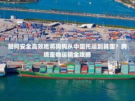 如何安全高效地将狗狗从中国托运到韩国?跨境宠物运输全攻略 如何安全高效地将狗狗从中国托运到韩国?跨境宠物运输全攻略