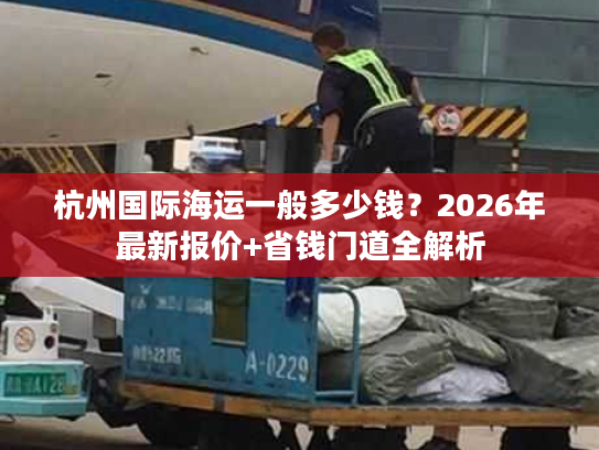 杭州国际海运一般多少钱?2026年最新报价+省钱门道全解析 杭州国际海运一般多少钱?2026年最新报价+省钱门道全解析