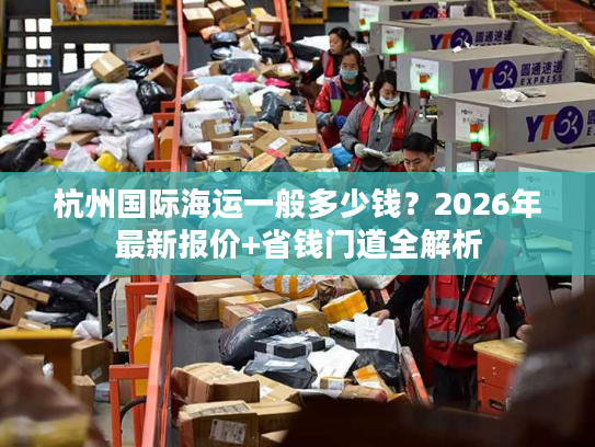 杭州国际海运一般多少钱？2026年最新报价+省钱门道全解析