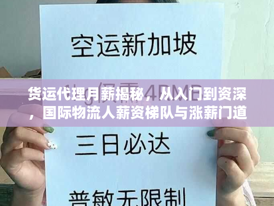 货运代理月薪揭秘，从入门到资深，国际物流人薪资梯队与涨薪门道