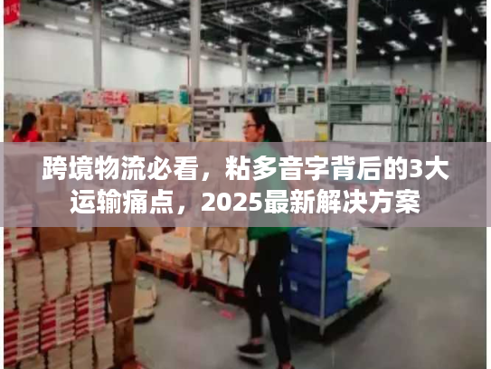 跨境物流必看，粘多音字背后的3大运输痛点，2025最新解决方案