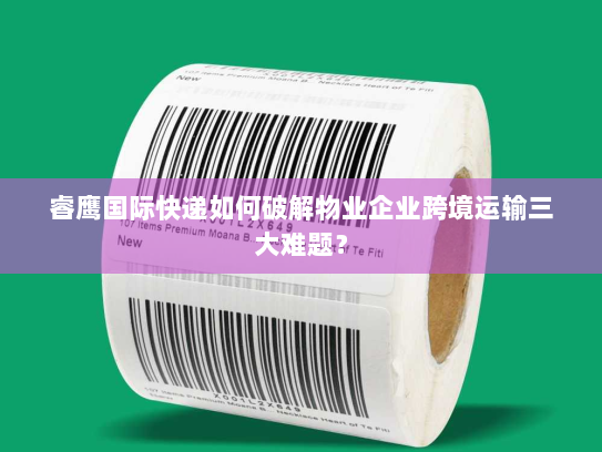 睿鹰国际快递如何破解物业企业跨境运输三大难题？