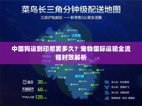 中国狗运到印尼要多久?宠物国际运输全流程时效解析 中国狗运到印尼要多久?宠物国际运输全流程时效解析
